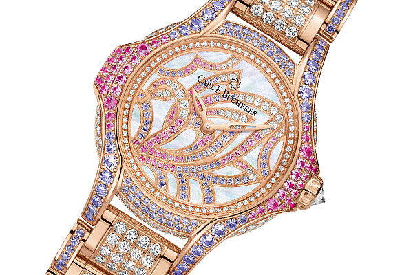 hd_carlfbucherer_pathosswan01pub