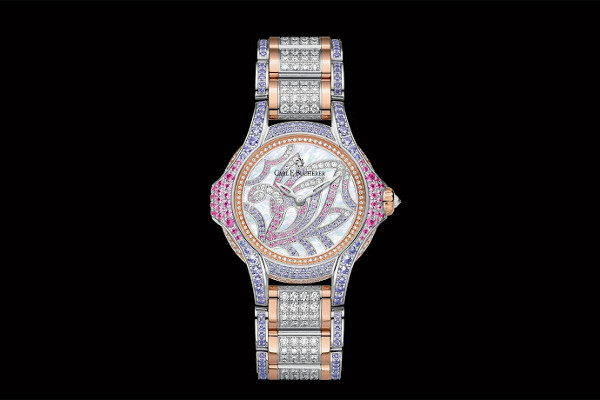 hd_carlfbucherer_pathosswan02pub